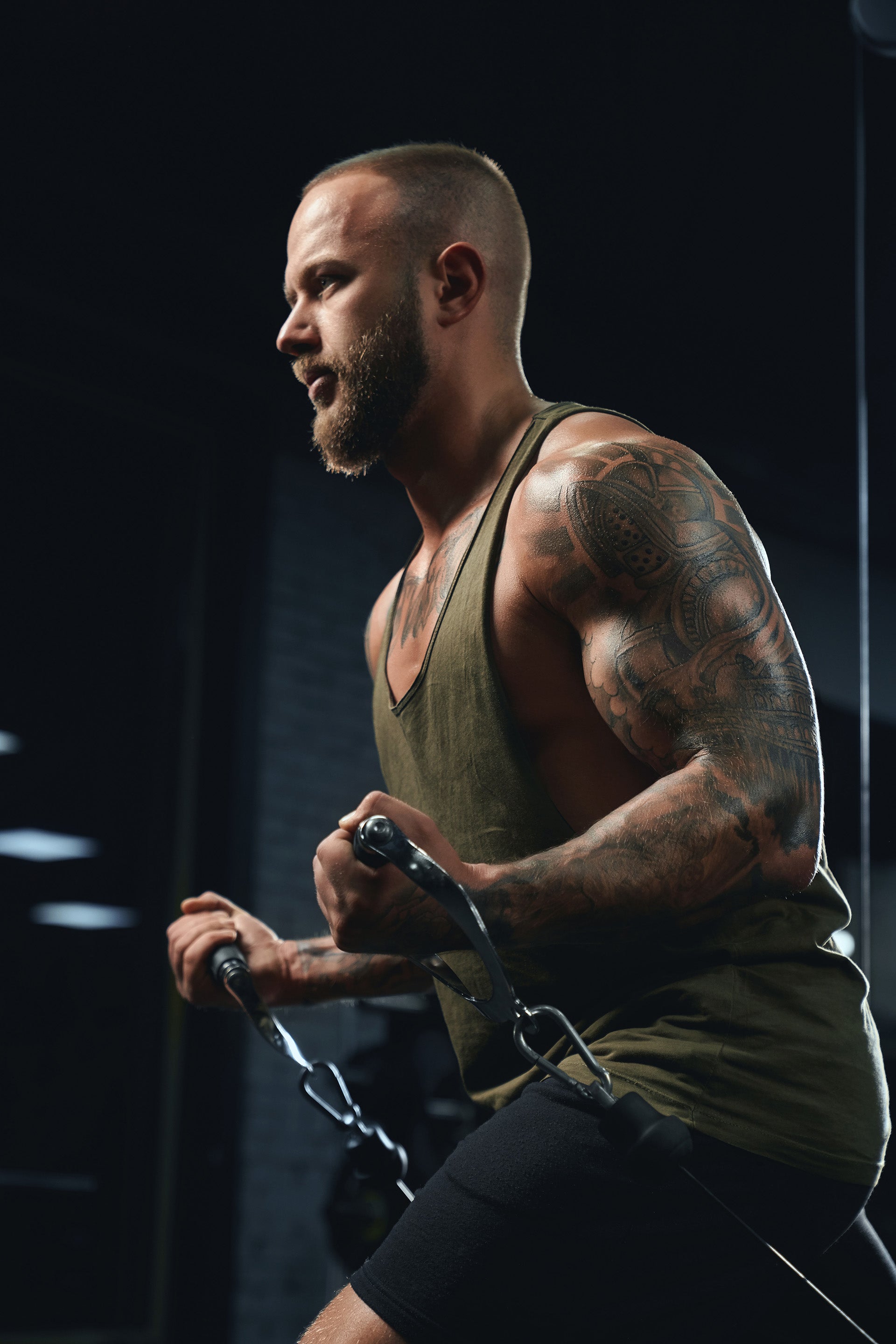 What Are the Three Most Important Things for Health and Physique?